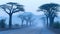 Dreamy African Landscape Panorama