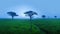 Dreamy African Landscape Panorama