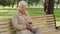 Dreamy calm relaxed gray-haired elderly grandmother sitting on park bench drinking coffee from glass. Elegant attractive