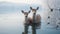 Dreamy Deer: A Cute And Emotive Photography By David Nordahl