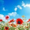 Dreamy flowery background with a field of flowers and a blue sky in the distance.