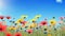 Dreamy flowery background with a field of flowers and a blue sky in the distance.