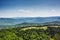 Dreamy forest. Fresh green trees in the beautiful mountain wood