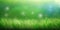 Dreamy Green Lawn Background for Invitations and Posters.