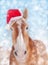 Dreamy image of a Belgian draft horse wearing a Santa hat