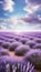 A dreamy image of a purple lavender field under a blue sky with white clouds, creating a sense of calmness and beauty