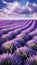 A dreamy image of a purple lavender field under a blue sky with white clouds, creating a sense of calmness and beauty