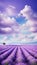 A dreamy image of a purple lavender field under a blue sky with white clouds, creating a sense of calmness and beauty