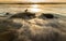 Dreamy image of seagull standing on rock during golden hour