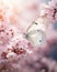 Dreamy Image of White Butterfly and Pink Flowers, Beautiful Bokeh Creating Ethereal Ambiance. Generative Ai