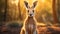 Dreamy Kangaroo In The Woods: Detailed Macro Photography