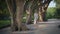 Dreamy lady walking park alley wrapped in white scarf. Serene woman strolling