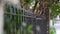 Dreamy Landscape look, Metal Forged Fence near the apartment building. Follow the focus.