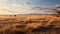 Dreamy Landscapes: Captivating Scenic Images Of Rural Kenya\\\'s Winter Savannah