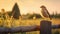 Dreamy Lark: A Charming Bird Sitting On A Fence In A Lush Field