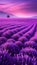 Dreamy Lavender Field Under a Purple and Pink Sky