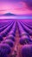 Dreamy Lavender Field Under a Purple and Pink Sky