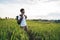 Dreamy male traveler admiring rice plantation in countryside