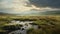 Dreamy Marsh In The Hindu Yorkshire Dales