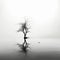 Dreamy Minimalistic Surrealism A Tree In The Water
