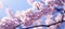 Dreamy pastel spring nature background with soft color tones for serene and tranquil atmosphere