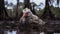 Dreamy Portrait Of A Brown And Yellow Vulture In The Mud