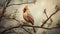 Dreamy Portrait Of A Red Cardinal Bird In Muted Colors