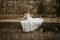 Dreamy portraits of beautiful bride on stone riverbank