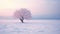 Dreamy And Romantic: A Lonely Beech Tree On A Frozen Field