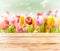 Dreamy spring background of colourful tulips