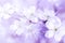 Dreamy Spring flowers on violet background