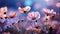 A dreamy summer affair with vibrant blooming wildflowers in a beautifully blurred bokeh background