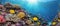 Dreamy underwater scene with colorful coral reef teeming with marine life