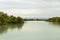 A dreamy view of the strange and beautiful mangrove forests whose roots are in the water.