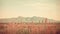 Dreamy Vintage Desertpunk: Pink Fescue And Mountains In Soft Schlieren Photography