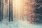 Dreamy winter forest in the fog. Atmospheric mood