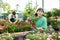 Dreamy young Asian female consumer choosing Osteospermum Ecklonis flower in pot in garden market