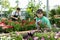 Dreamy young Asian female consumer choosing Osteospermum Ecklonis flower in pot in garden market