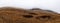 Dreary, foggy, empty, and barren winter landscape at the National Bison Range wildlife refuge, Montana, USA