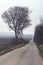 Dreary, Lonely Country Road in Winter in Czech Republic