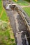 Dredging the Llangollen Canal