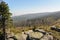 Dreisesselberg - View of forest dying