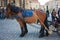 DRESDEN, GERMANY - May 12, 2013: Urban life of Dresden. Tourist`s carriage