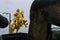 Dresden Golden Rider Outdoors Monument in Winter Overcast Weather