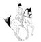 Dressage horse illustration 