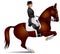 Dressage horse perform figure levada