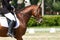 Dressage horse and rider