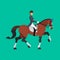 Dressage horse and rider, Equestrian sport