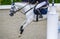 Dressage horse and rider. White horse portrait during dressage competition.