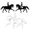 Dressage horse spanish trot